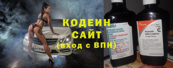 шишки Покачи