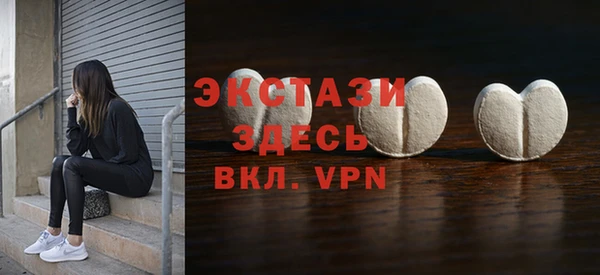 мдпв Гусев