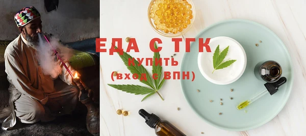мдпв Гусев