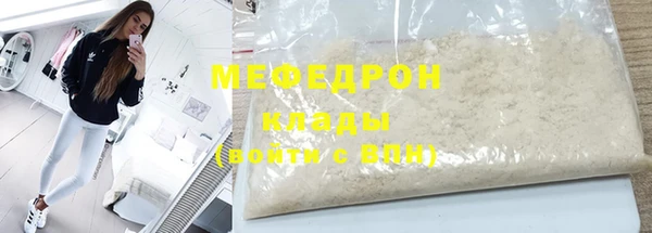 мдпв Гусев