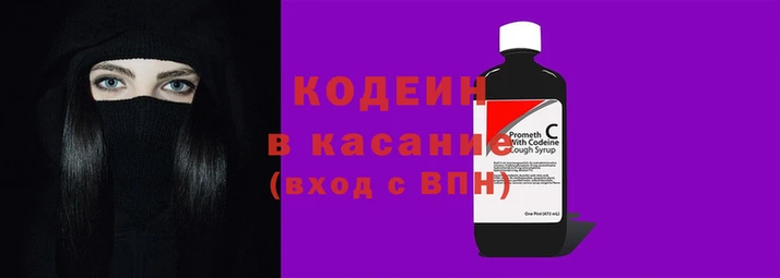 шишки Покачи