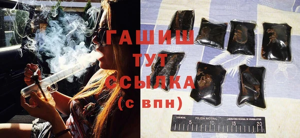 мдпв Гусев
