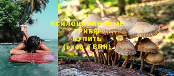 шишки Покачи