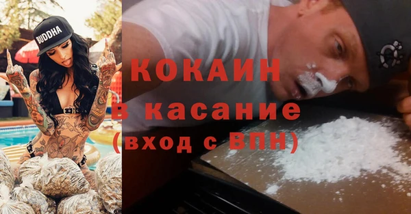 шишки Кохма