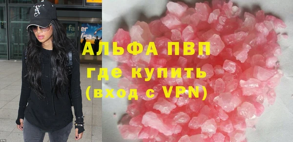 мдпв Гусев
