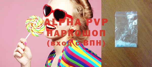 шишки Покачи