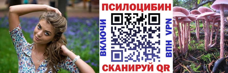 Галлюциногенные грибы мухоморы Северо-Курильск